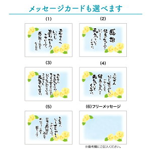 日本酒 飲み比べ セット プレゼント ギフト 300ml×5本 2024 送料無料 お酒 おすすめ 人気 母の日 父の日 ｜T-888