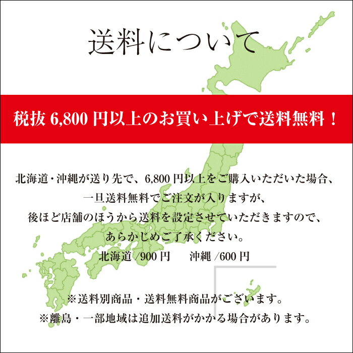 【国産・九州産】 豚ミンチ 約1kg（500g×2パック） ひき肉 挽肉 豚肉 お取り寄せ お取り寄せグルメ