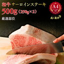 A4 ランク 以上保障 和牛サーロインステーキ セット 250g × 2枚 霜降 ロース サーロイン ステーキ 食の都 福岡の卸し問屋より直送 厳選部位 国産 和牛 冷凍 BBQ ステーキ 赤身 と サシ 脂肪 のバランス 丁寧に育てられた 和牛をお届け