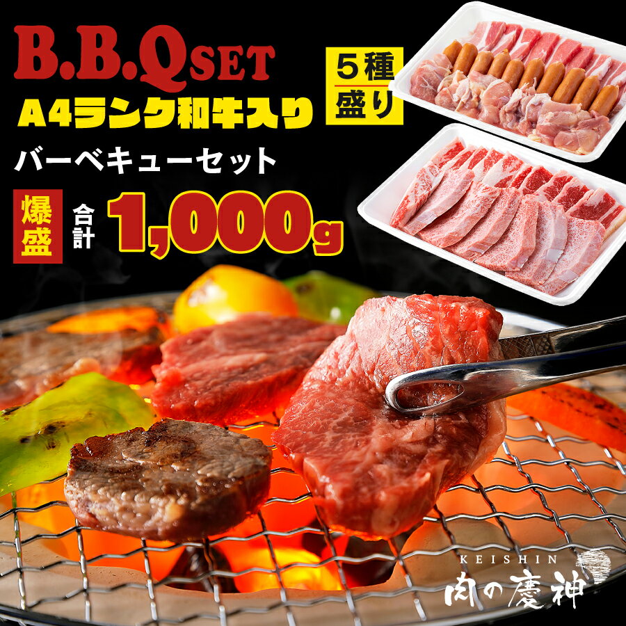 A4ランク 和牛入り バーベキュー セット 肉 食材 1kg 九州産和牛・牛肉・鶏肉・豚肉・ソーセージ 各200g 合計 1000g 福岡の卸し問屋より直送 bbq