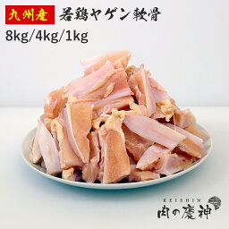 国産 ・ 九州産 若鶏ヤゲン軟骨 身付き 8kg/4kg/1kg とり肉 冷凍 わかどり ナンコツ