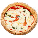 本場イタリアの味!マルゲリータピザ 2枚セット/ 4枚セット 惣菜 厳選 ピザ マルゲリータ 冷凍 プレゼント パーティー 誕生日 ギフト などに