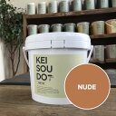 珪藻土 塗料 PAINT TYPE 1.5kg NUDE ヌード イエロー 黄 カラー 【送料無料】 DIY かんたん ペイント ローラー かわいい おしゃれ ...