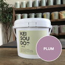 珪藻土 塗料 PAINT TYPE 1.5kg PLUM プラム パープル 紫 カラー 【送料無料】 DIY かんたん ペイント ローラー かわいい おしゃれ ...