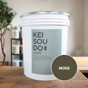 珪藻土 塗り壁 PLASTER TYPE 18kg MOSS モス グリーン 緑 カラー 【送料無料】 DIY かんたん かわいい おしゃれ リフォーム リノベーション 天然素材 自然素材 アクセントウォール 内装 インテリア 壁 安心 安全 ぬりかべ 艶なし 湿気対策 消臭 左官 漆喰 自社製品 日本製