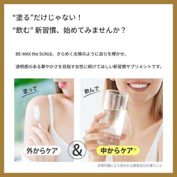 BE-MAX The SUN 30粒×3個セット 1個3233円 紫外線対策 UV サプリメント ビーマックス ザ サン