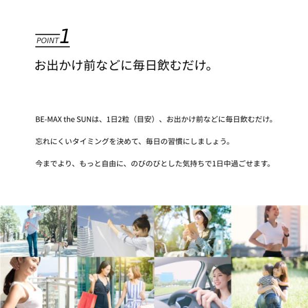 BE-MAX The SUN 30粒×3個セット 1個3233円 紫外線対策 UV サプリメント ビーマックス ザ サン