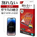 iPhone14 Pro フィルム 全面保護 高光沢 ガラスコート 0.25mm 硬度9H 貼り付けガイド アイフォン14プロ 保護フィルム AP3526IP261P ラスタバナナ