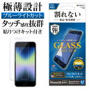 iPhone SE3 SE2 iPhone8 iPhone7 iPhone6s 共用 フィルム 平面保護 ブルーライトカット 高光沢 高透明 クリア ガラスコート 0.25mm 薄型 貼り付けガイド 高感度 アイフォン 第3世代 第2世代 保護フィルム AE3311IP247 ラスタバナナ