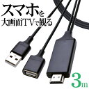 iPhone iPad ミラーリングケーブル フルHD対応 Type-A to HDMI 出力ケーブル 3メートル タイプA テレビ ディスプレイ プロジェクター 大画面 3m ブラック テレビ電話 プレゼン ゲーム 動画 R30HEAH01BK ラスタバナナ