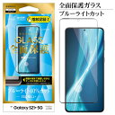 Galaxy S21+ 5G SCG10 フィルム 全面保護 強化ガラス ブルーライトカット 光沢タイプ 指紋認証対応 ケースに干渉しにくい ブラック ギャラクシー S21 プラス 5G 液晶保護 FE2896GS21P ラスタバナナ