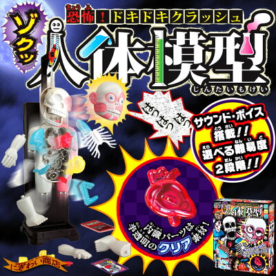 さらに怖い新型!New恐怖!ドキドキクラッシュゾクッ人体模型