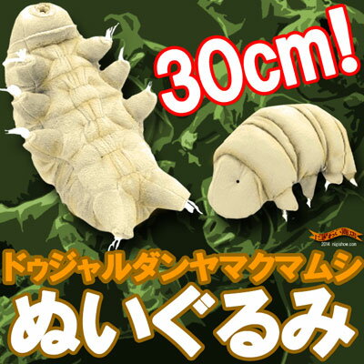 〔予約:4月末頃〕