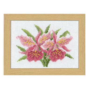 オリムパスししゅうキット 1月カトレア 7506