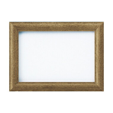 オリンパス 額 W-21 木製フレーム（こげ茶）