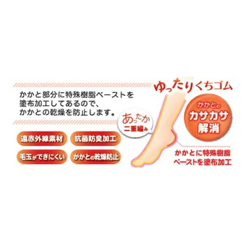 美容ソックス 靴下 猫柄 同色2足入り 167-635