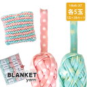 【Z4040F】 BLANKET Yarn（ブランケット ヤーン）2柄＝各5玉計10玉入り毛糸ZAKKAストアーズ まとめ買い 在庫限り アウトレット/返品不可