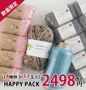 HAPPY BOX 2,498円（税込）Z080808-2500ZAKKA/返品・キャンセル不可/個数限定　返品不可