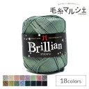 手編み糸 ハマナカ ブリリアン 色番36 06Co99_