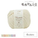 ハマナカ ポーム リリー フルーツ染め 色番501 06Co99_