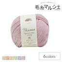 ハマナカ ポーム リリー フルーツ染め 色番506 06Co99_