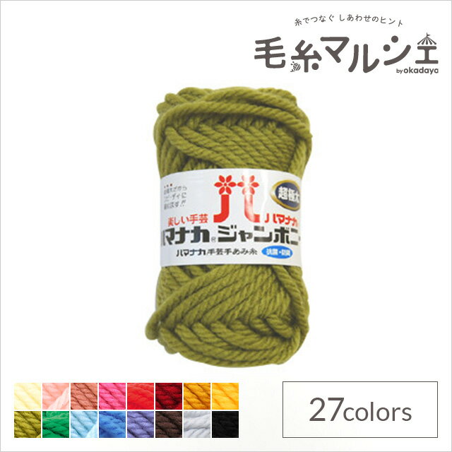 毛糸 ハマナカ ジャンボニー（3307） 色番12 06Co99_