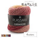 毛糸 Plassard-プラッサー- CARDAMOME・カルダモン 色番72 (M)_b1_