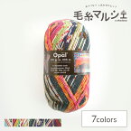 毛糸 Opal-オパール- フンデルトヴァッサー 4ply/4本撚り HW2107.Der Weg von dir zu mir zuruck (M)_b1j