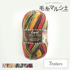 毛糸 Opal-オパール- フンデルトヴァッサー 4ply/4本撚り HW3206.Blinde Venus (M)_b1j