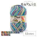 毛糸 Opal-オパール- レーゲンヴァルト20 6ply/6本撚り 1451.パロット 06Co99j