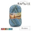 毛糸 Opal-オパール- 冬の太陽 8ply/8本撚り 11433.スノーダンス 06Co99j