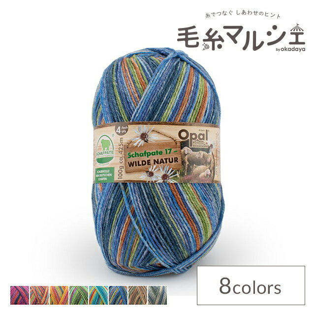 毛糸 Opal-オパール- シャーフパーテ17 4ply/4本撚り 11591.牧場の川 06Co99j