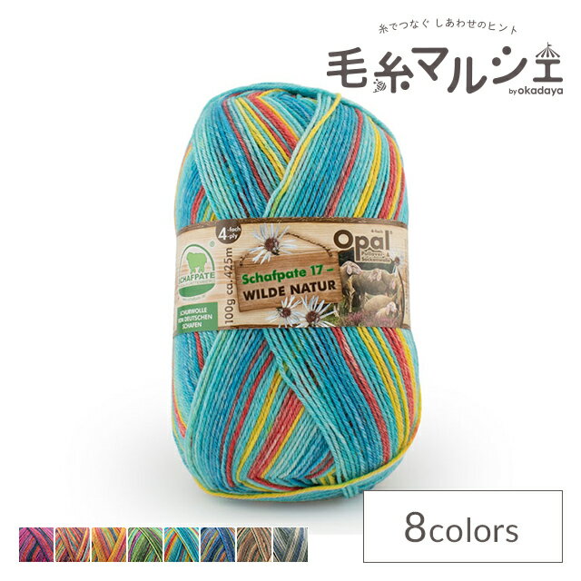 毛糸 Opal-オパール- シャーフパーテ17 4ply/4本撚り 11595.ハーブのごちそう 06Co99j