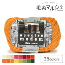 毛糸 リッチモア(ハマナカ) スペクトルモデム 28 06Co99_