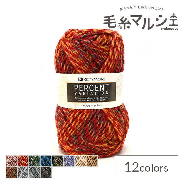毛糸 リッチモア（ハマナカ） パーセント バリエーション 色番304 06Co99_