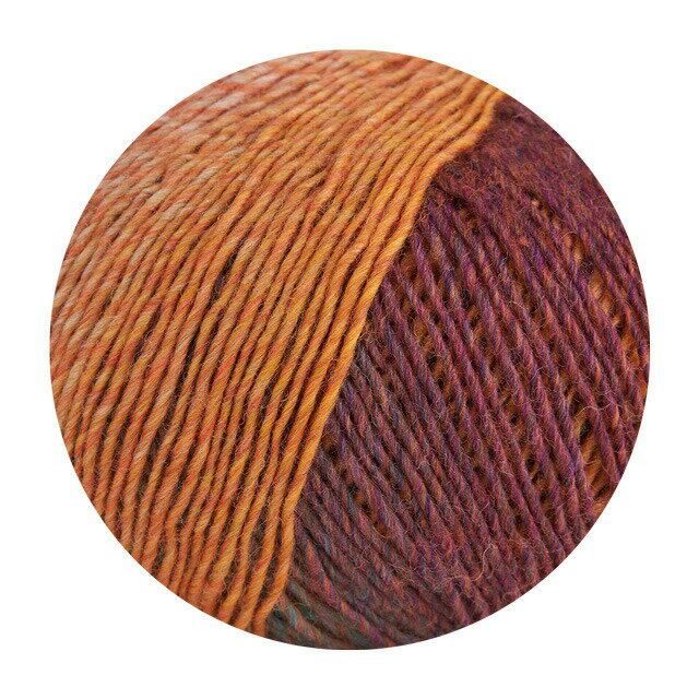 毛糸 ROWAN-ローワン- Sock（9802244） 001.Jewel 06Co99j