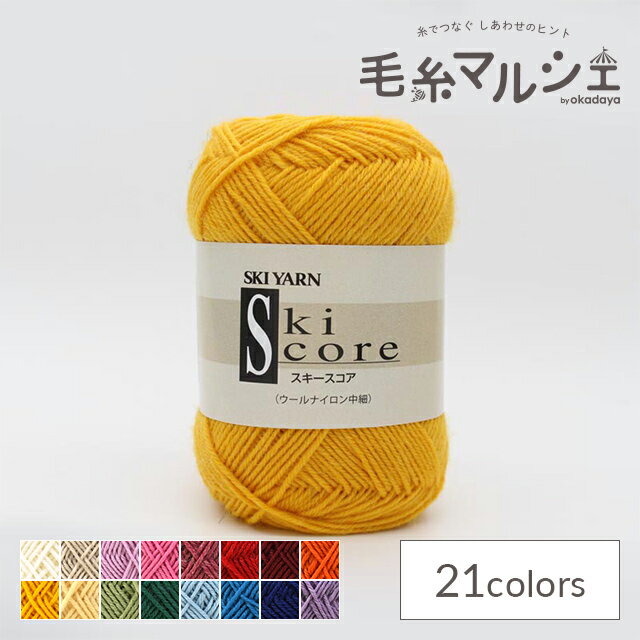 毛糸 スキー スコア 色番23 (H)_5b_