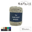 \期間限定10%OFF/ 毛糸 ダルマ(横田) チェビオットウール 色番7 06Co99_
