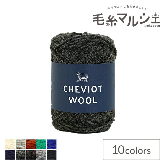 ＼期間限定5％OFF／ 毛糸 ダルマ（横田） チェビオットウール 色番10 (M)_b1_