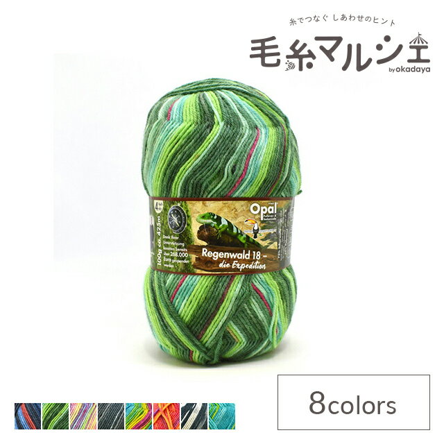 毛糸 Opal-オパール- レーゲンヴァルト18 4ply/4本撚り 11201.ティム (H)_5bj