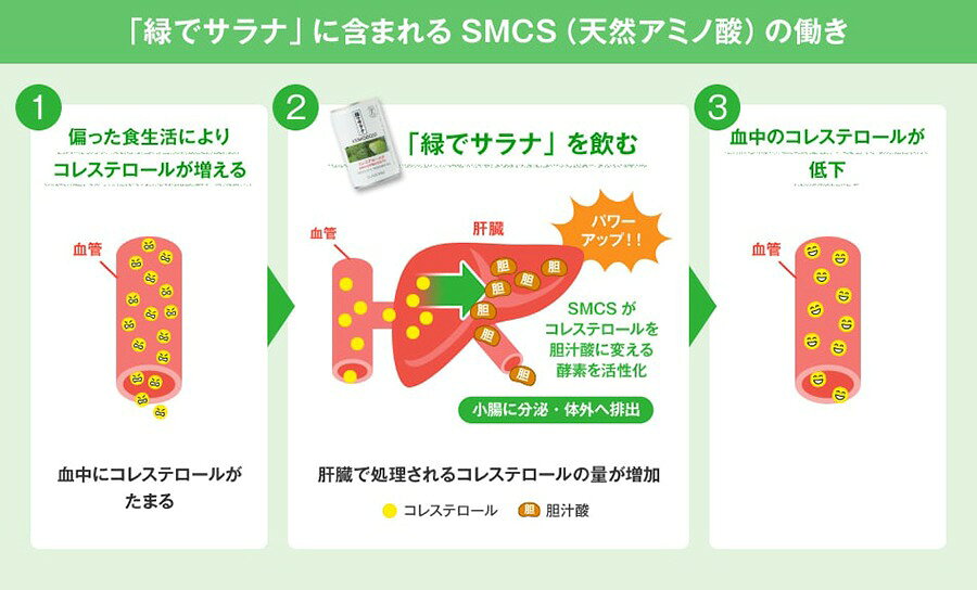 緑でサラナ 160g × 30本セット【サンスター】【特定保健用食品】【送料無料※沖縄・離島を除く】【同梱不可】3001356-1-os keiyushop-2-10002368 Veganベジタリアン奈良恵友堂 サンプル画像3