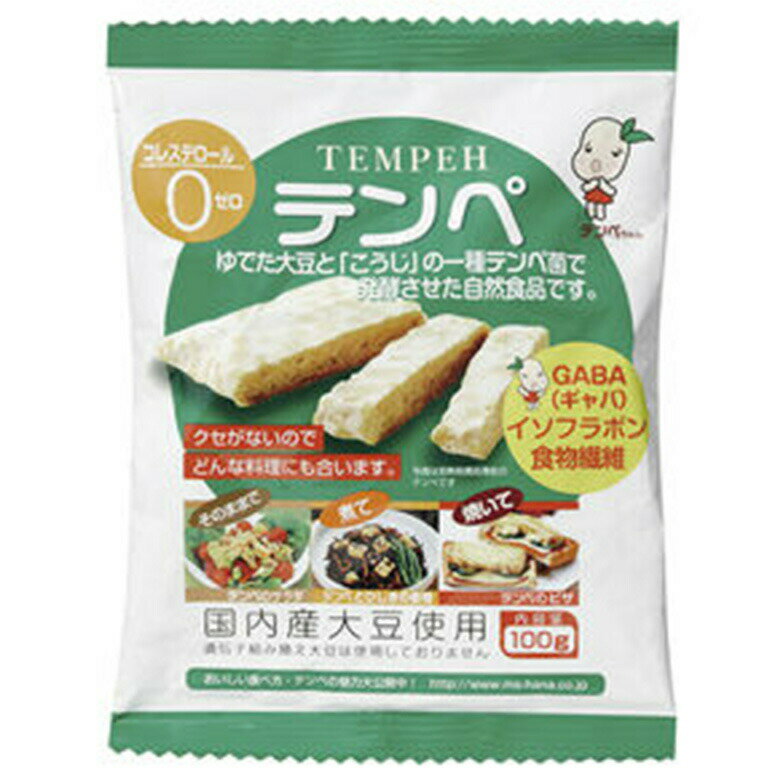 3006183-os テンペ 100g【マルシン食品】【1～4個はメール便300円】