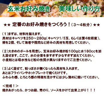 1002516-kf 玄米お好み焼き粉100g【南出製粉所】【1〜9個はメール便対応可】