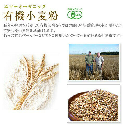 日清製粉ウェルナ 日清製粉 小麦粉フラワー チャック付 1Kg