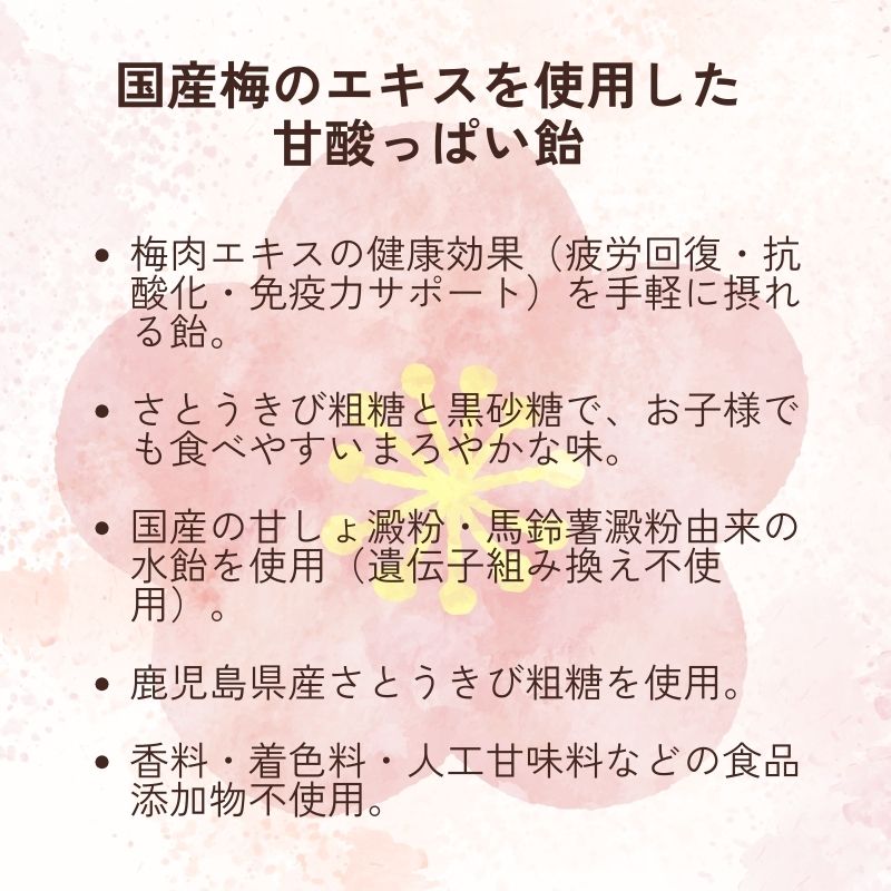 梅肉エキス飴 80g【フルーツバスケット】【1〜4個はメール便300円】FB00609-fb