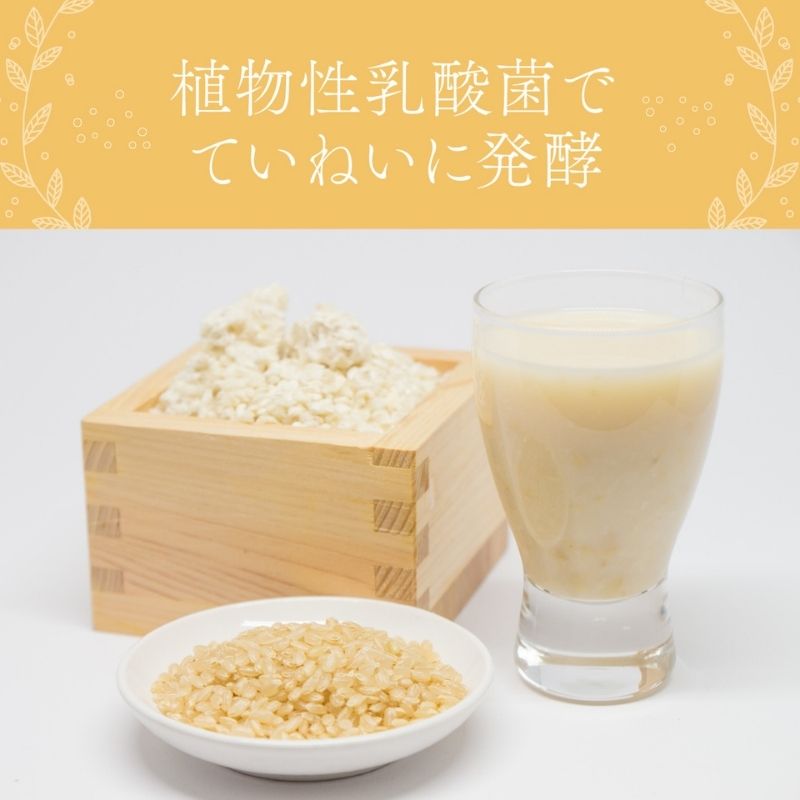 奈良恵友堂の腸がよろこぶ乳酸麹 150g【フルーツバスケット】国産原料 乳酸菌 カロリー控えめ fb00640-fb｜アングル3