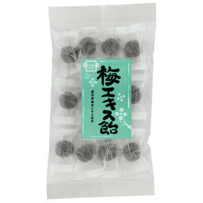 梅エキス飴 60g【健康フーズ】【1〜4個はメール便300円】1001221-kfのサムネイル