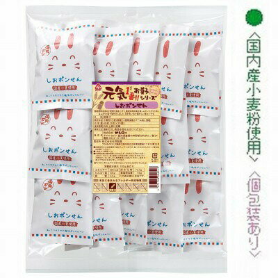 1094069-kf 【取り寄せ商品】【6〜7月頃パッケージ変更予定】元気1番お菓子シリーズ　しおポンせん 40枚(2枚×20袋)x10個セット【サンコー】