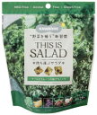 1001645-kf 【パッケージ変更予定】 THIS IS SALAD ケールとフルーツの板グラノーラ80g【東京バル】【1〜3個はメール便300円】