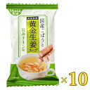 7130373-ko なちゅらる生活 国産ごぼうと高知県産黄金生姜スープ 旨味チキン味 9g×10個セット【イー・有機生活】